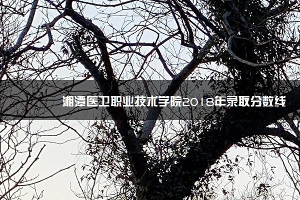 湘潭医卫职业技术学院2018年录取分数线