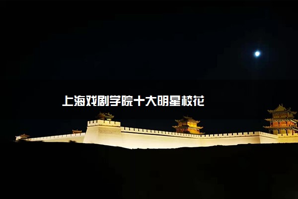 上海戏剧学院十大明星校花