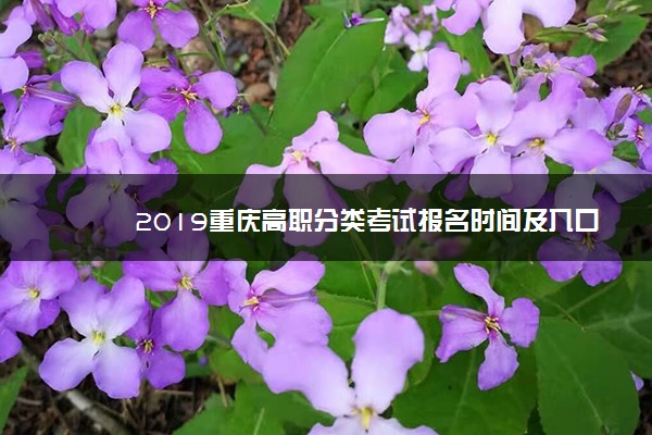 2019重庆高职分类考试报名时间及入口