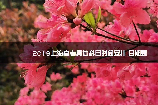2019上海高考具体科目时间安排 日期是几号