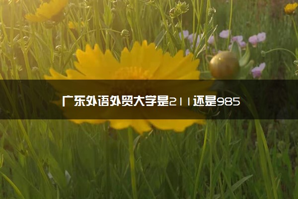 广东外语外贸大学是211还是985