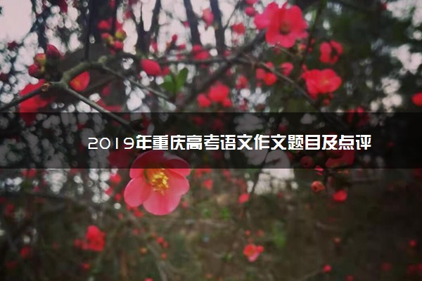 2019年重庆高考语文作文题目及点评
