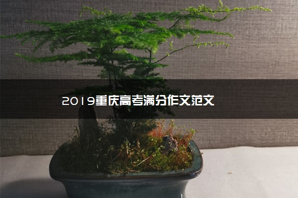 2019重庆高考满分作文范文