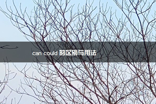 can could 的区别与用法