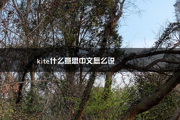 kite什么意思中文怎么说