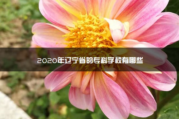 2020年辽宁省的专科学校有哪些