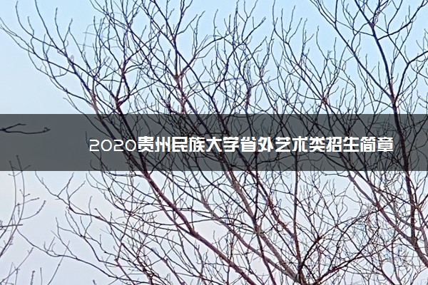 2020贵州民族大学省外艺术类招生简章
