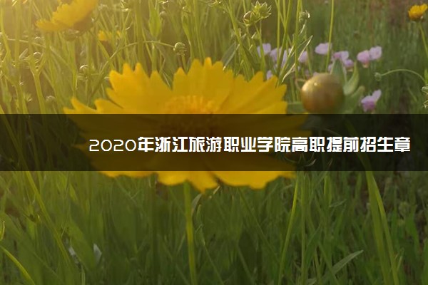 2020年浙江旅游职业学院高职提前招生章程