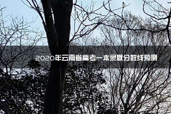 2020年云南省高考一本录取分数线预测