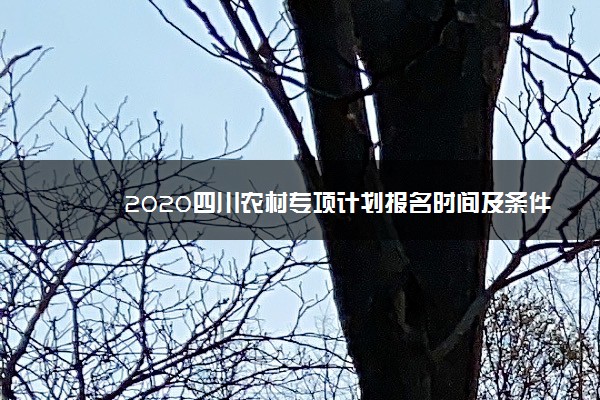 2020四川农村专项计划报名时间及条件