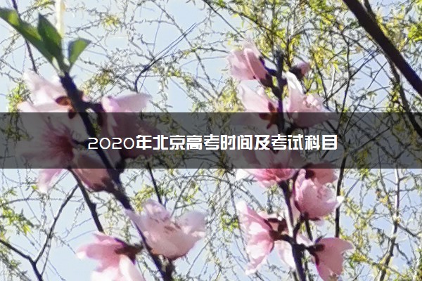 2020年北京高考时间及考试科目