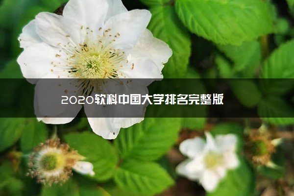 2020软科中国大学排名完整版