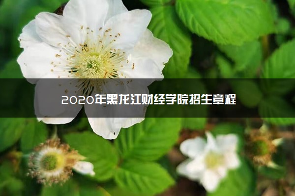 2020年黑龙江财经学院招生章程