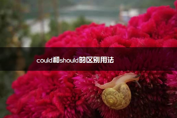 could和should的区别用法