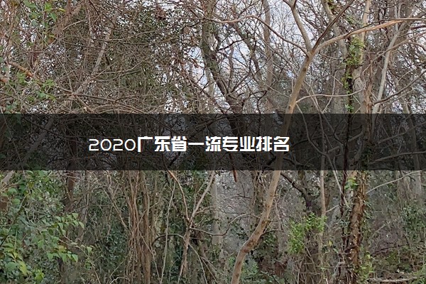 2020广东省一流专业排名