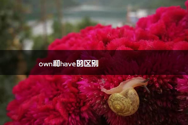 own和have的区别