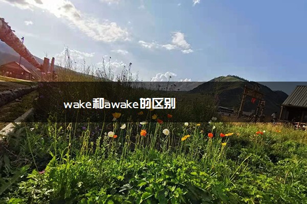 wake和awake的区别