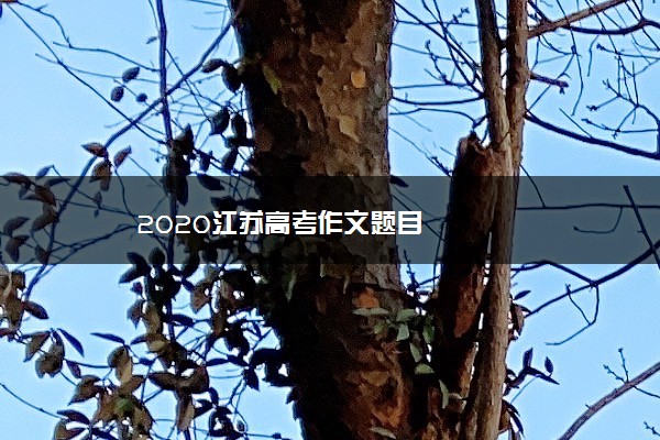 2020江苏高考作文题目