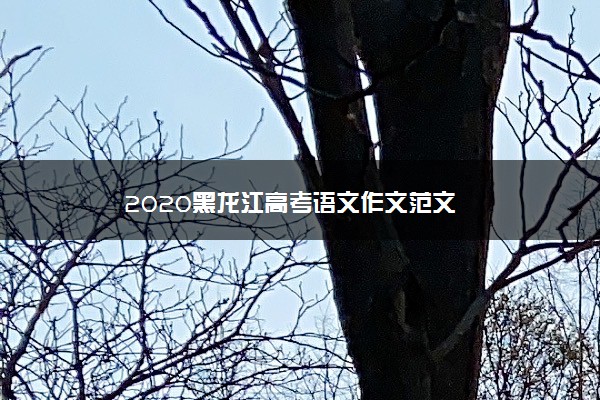 2020黑龙江高考语文作文范文