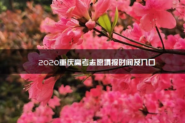 2020重庆高考志愿填报时间及入口