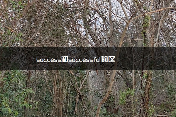 success和successful的区别