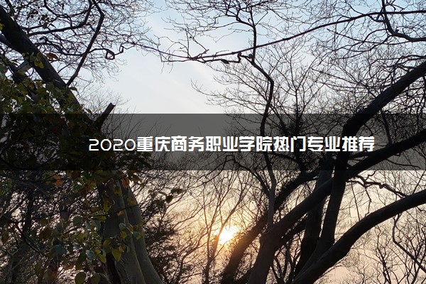 2020重庆商务职业学院热门专业推荐