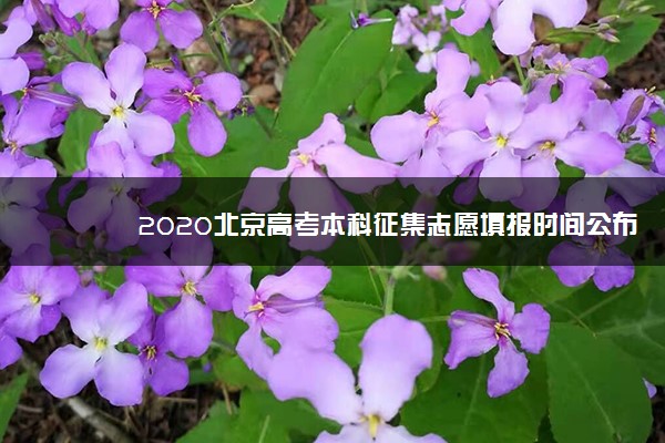2020北京高考本科征集志愿填报时间公布