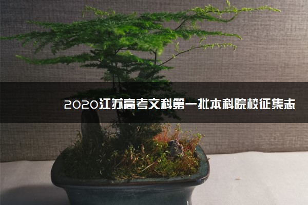 2020江苏高考文科第一批本科院校征集志愿招生计划