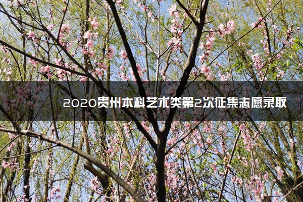 2020贵州本科艺术类第2次征集志愿录取最低分
