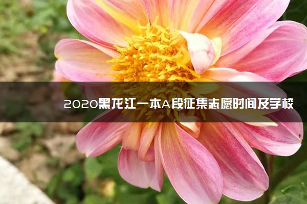 2020黑龙江一本A段征集志愿时间及学校