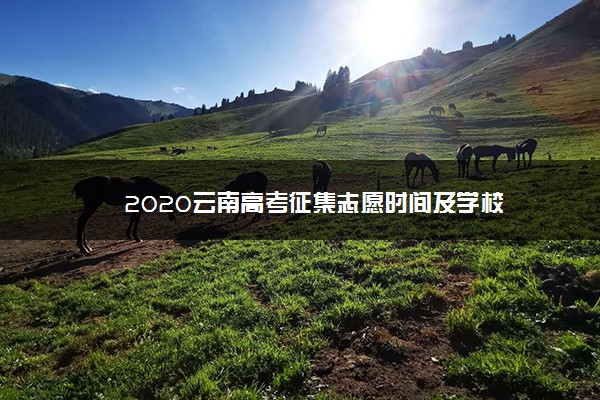 2020云南高考征集志愿时间及学校