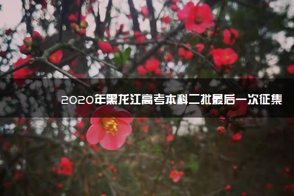 2020年黑龙江高考本科二批最后一次征集志愿填报时间