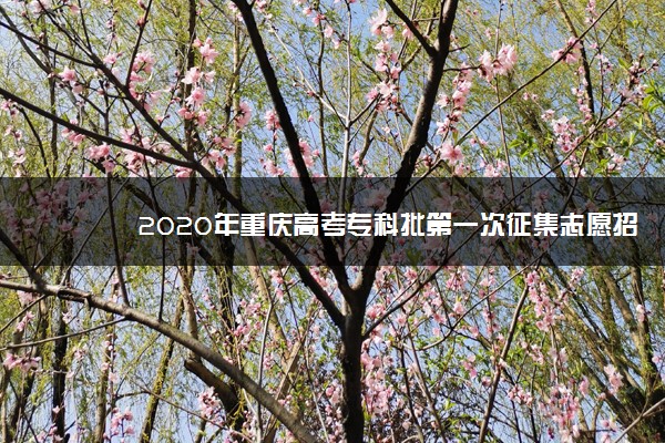 2020年重庆高考专科批第一次征集志愿招生计划（文史）