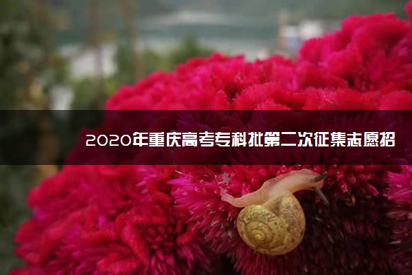 2020年重庆高考专科批第二次征集志愿招生计划（文史）