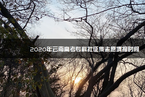 2020年云南高考专科批征集志愿填报时间