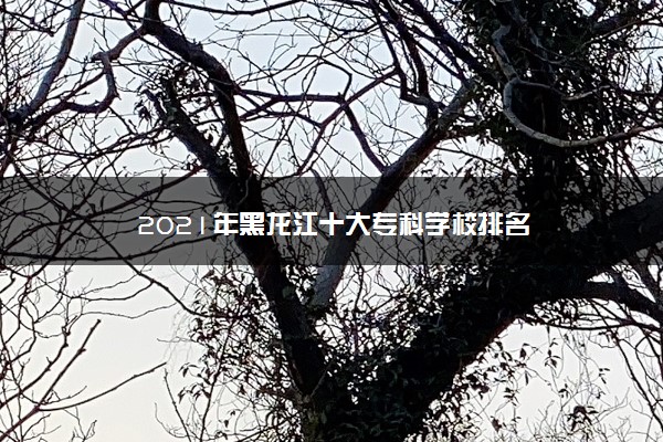 2021年黑龙江十大专科学校排名