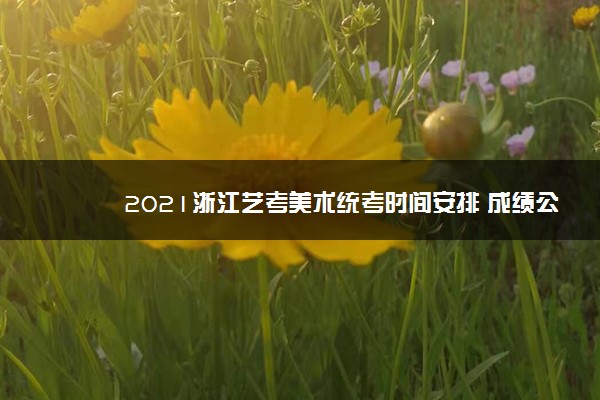 2021浙江艺考美术统考时间安排 成绩公布查询时间安排