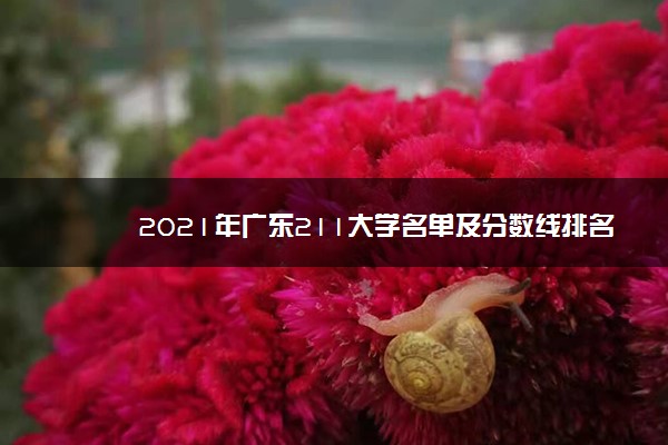 2021年广东211大学名单及分数线排名(最新)