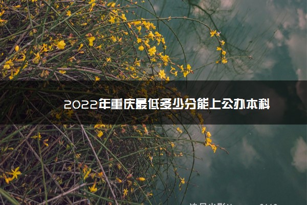 2022年重庆最低多少分能上公办本科