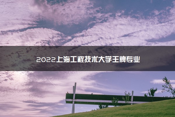 2022上海工程技术大学王牌专业