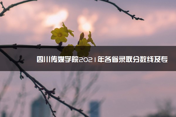 四川传媒学院2021年各省录取分数线及专业分数线 文理科最低位次是多少