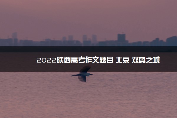 2022陕西高考作文题目：北京：双奥之城