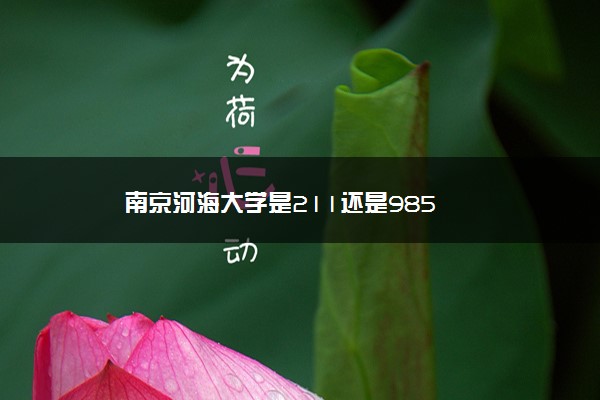 南京河海大学是211还是985