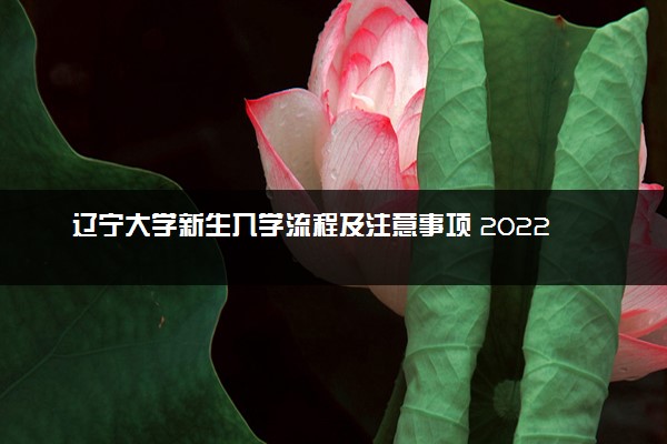 辽宁大学新生入学流程及注意事项 2022年迎新网站入口