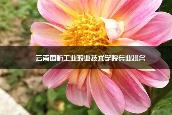 云南国防工业职业技术学院专业排名