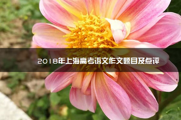 2018年上海高考语文作文题目及点评