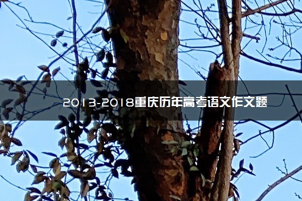 2013-2018重庆历年高考语文作文题目汇总