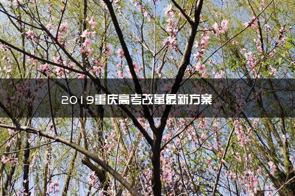 2019重庆高考改革最新方案