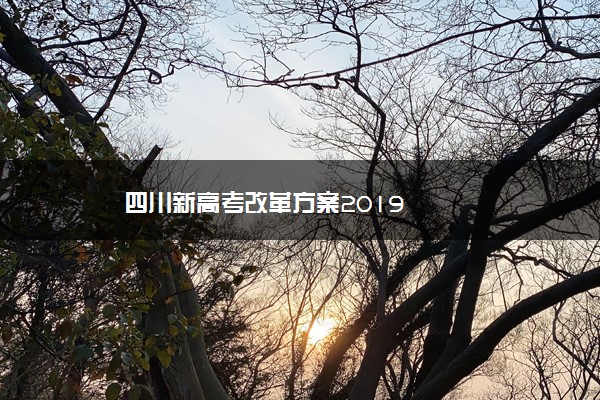 四川新高考改革方案2019
