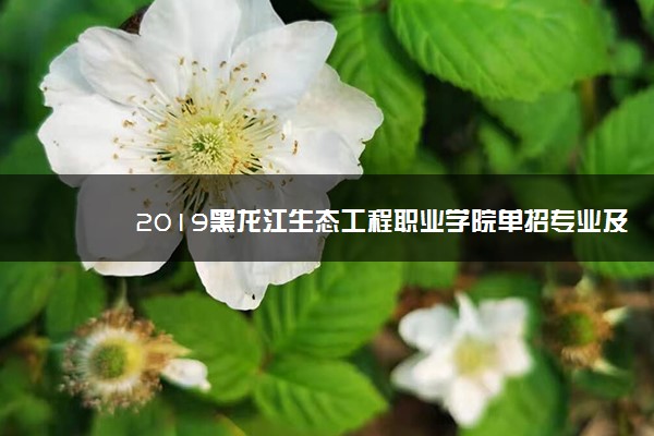2019黑龙江生态工程职业学院单招专业及计划
